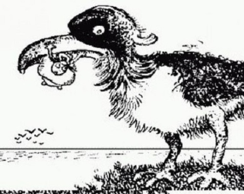 كاريكاتێر !